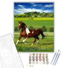 Számfestő.hu Paripa - számfestő készlet – 50×60 cm (Keretre feszítve) kreatív és készségfejlesztő