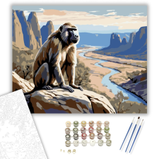 Számfestő.hu Pávián a Sziklás Folyóparton - számfestő készlet – 40×50 cm (Keretre feszítve) kreatív és készségfejlesztő