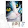 Számfestő.hu Pillangó az orron - számfestő készlet – 40×50 cm (Keretre feszítve)
