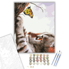 Számfestő.hu Pillantás - számfestő készlet – 40×50 cm (Keretre feszítve) kreatív és készségfejlesztő