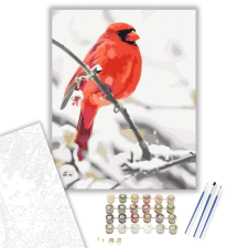 Számfestő.hu Piros Madár - számfestő készlet – 40×50 cm (Keretre feszítve) kreatív és készségfejlesztő