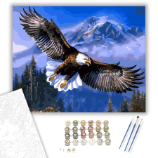 Számfestő.hu Repülő sas - számfestő készlet – 40×50 cm (Keretre feszítve) kreatív és készségfejlesztő
