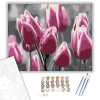 Számfestő.hu Rózsaszín Tulipánok - számfestő készlet – 40×50 cm (Keretre feszítve)