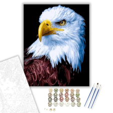 Számfestő.hu Sas tekintete - számfestő készlet – 40×50 cm (Keretre feszítve) kreatív és készségfejlesztő