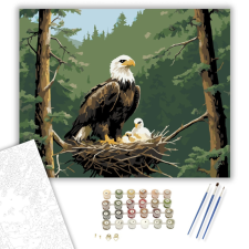 Számfestő.hu Sasfészek a Magasban - számfestő készlet – 40×50 cm (Keretre feszítve) kreatív és készségfejlesztő