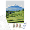 Számfestő.hu Shizuoka Tea Mezők és Fuji Hegy - számfestő készlet – 40×50 cm (Keretre feszítve)