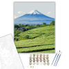 Számfestő.hu Shizuoka Tea Mezők és Fuji Hegy - számfestő készlet – 80×100 cm (Keretre feszítve)