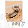 Számfestő.hu Sivatagi Homoki Boa a Dűnék Között - számfestő készlet – 40×50 cm (Keretre feszítve)