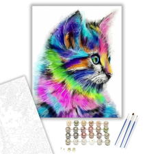 Számfestő.hu Színes cica - számfestő készlet – 40×50 cm (Keretre feszítve) kreatív és készségfejlesztő