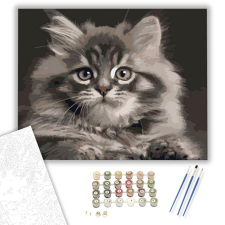 Számfestő.hu Szürka cica - számfestő készlet – 40×50 cm (Keretre feszítve) kreatív és készségfejlesztő