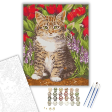 Számfestő.hu Tarka cica - számfestő készlet – 40×50 cm (Keretre feszítve) kreatív és készségfejlesztő
