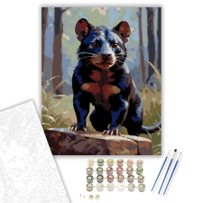 Számfestő.hu Tasmán Ördög Ébersége - számfestő készlet – 40×50 cm (Keretre feszítve) kreatív és készségfejlesztő