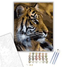 Számfestő.hu Tigris - számfestő készlet – 40×50 cm (Keretre feszítve) kreatív és készségfejlesztő