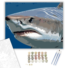 Számfestő.hu Tigriscápa Közelről - számfestő készlet – 40×50 cm (Keretre feszítve) kreatív és készségfejlesztő