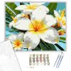 Számfestő.hu Trópusi Plumeria Virágok - számfestő készlet – 50×60 cm (Keret nélkül)