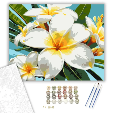 Számfestő.hu Trópusi Plumeria Virágok - számfestő készlet – 50×60 cm (Keret nélkül) kreatív és készségfejlesztő