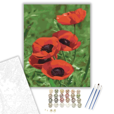 Számfestő.hu Vadvirág - számfestő készlet – 40×50 cm (Keretre feszítve) kreatív és készségfejlesztő