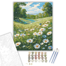 Számfestő.hu Vadvirágos Margaréta Mező - számfestő készlet – 40×50 cm (Keretre feszítve) kreatív és készségfejlesztő