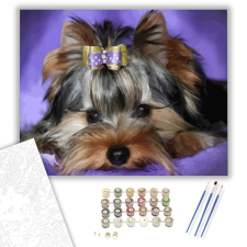 Számfestő.hu Yorki - számfestő készlet – 40×50 cm (Keretre feszítve) kreatív és készségfejlesztő