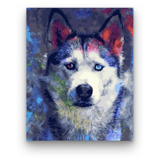 Számfestő Husky kutya - számfestő készlet kreatív és készségfejlesztő