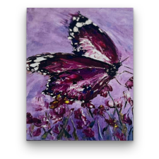 Számfestő Lilás pillangó - előszínezett számfestő készlet (30x40cm) kreatív és készségfejlesztő