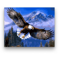 Számfestő Repülő sas - számfestő készlet kreatív és készségfejlesztő