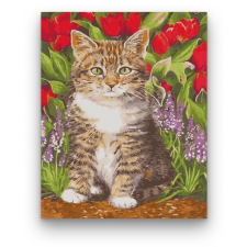 Számfestő Tarka cica - számfestő készlet kreatív és készségfejlesztő