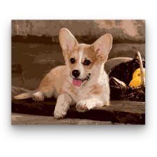 Számfestő Welsh Corgi kutya - számfestő készlet kreatív és készségfejlesztő