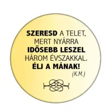  Szeresd a telet... kitűző kitűző