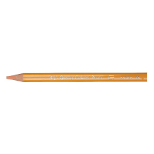  Színes ceruza ASTRA bőrszín színes ceruza