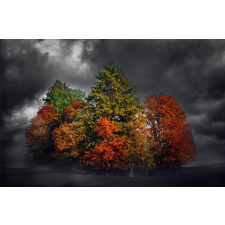  Színes foltos tapéta, 300 x 250 cm tapéta, díszléc és más dekoráció