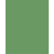  Színes papír, A3, 130 g, 50 lap, FOLIA, mohazöld kreatív papír