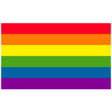  Szivárványzászló szivárvány Melegbüszkeség meleg büszkeség LMBT Budapest Pride zászló 90x150cm ajándéktárgy