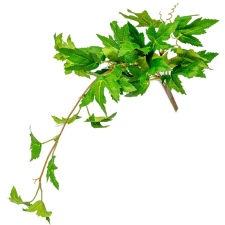  Szőlő leveles futó 40cm dekorációs kellék