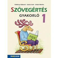 Szövegértés gyakorló 1. osztály (MS-1662U) gyermek- és ifjúsági könyv