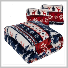  Takaró 1,6x2m, 2db Párnahuzattal 24825 lakástextília