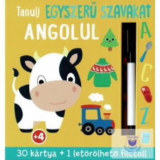  Tanulj Egyszerű Szavakat Angolul idegen nyelvű könyv