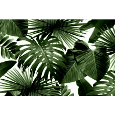  Tapéta Absztrakt levelek, 300 x 200 cm tapéta, díszléc és más dekoráció