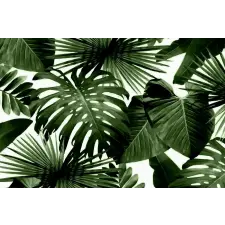  Tapéta Absztrakt levelek, 400 x 250 cm tapéta, díszléc és más dekoráció