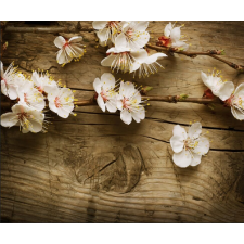  Tapéta cseresznyevirágok2, 300 x 250 cm tapéta, díszléc és más dekoráció