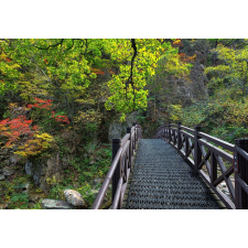  Tapéta Híd a természetbe, 300 x 250 cm tapéta, díszléc és más dekoráció