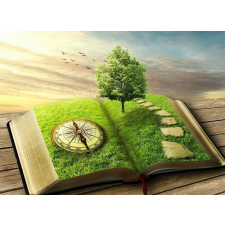  Tapéta Időkönyv, 400 x 250 cm tapéta, díszléc és más dekoráció