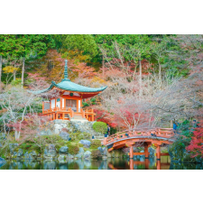  Tapéta Natura107, 350 x 250 cm tapéta, díszléc és más dekoráció