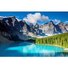  Tapéta Natura33, 350 x 200 cm tapéta, díszléc és más dekoráció