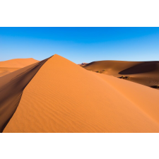  Tapéta Natura73, 300 x 200 cm tapéta, díszléc és más dekoráció