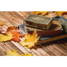  Tapéta Összetétel 45, 400 x 250 cm tapéta, díszléc és más dekoráció