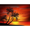  Tapéta Pálmafák15, 350 x 200 cm