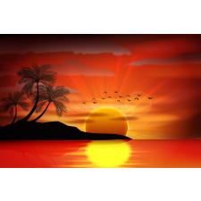  Tapéta Pálmafák16, 400 x 250 cm tapéta, díszléc és más dekoráció