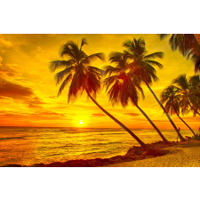  Tapéta Pálmafák naplementekor, 400 x 250 cm tapéta, díszléc és más dekoráció