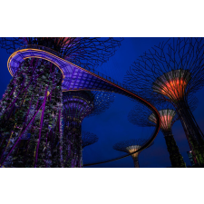  Tapéta Park Singapore 1, 300 x 200 cm tapéta, díszléc és más dekoráció